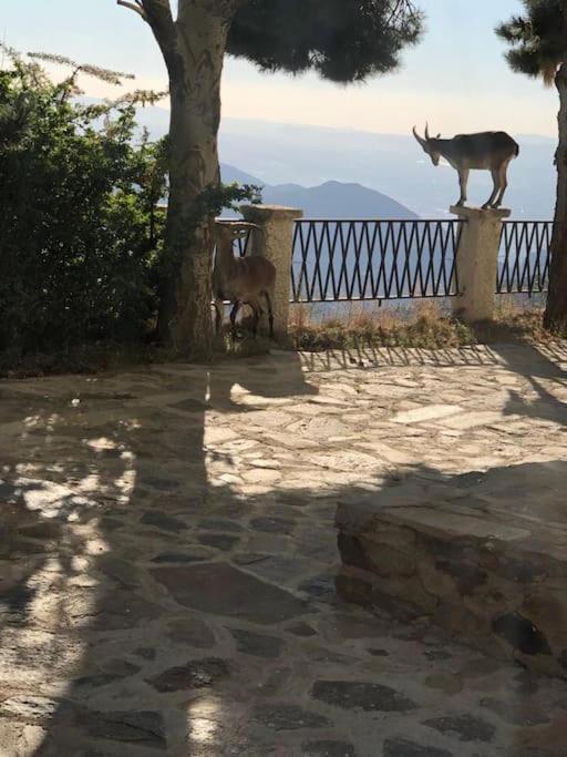 Luxury Apartment Sierra Nevada 格拉纳达 外观 照片